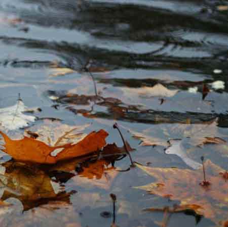 دانلود آهنگ مه بلی هم بی که ناوردی و روزم مرتضی باب